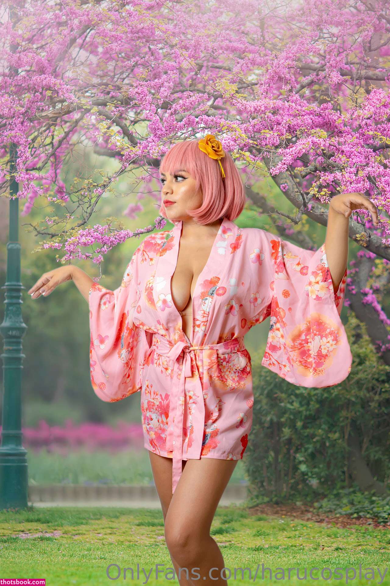 harucosplay Photo #3