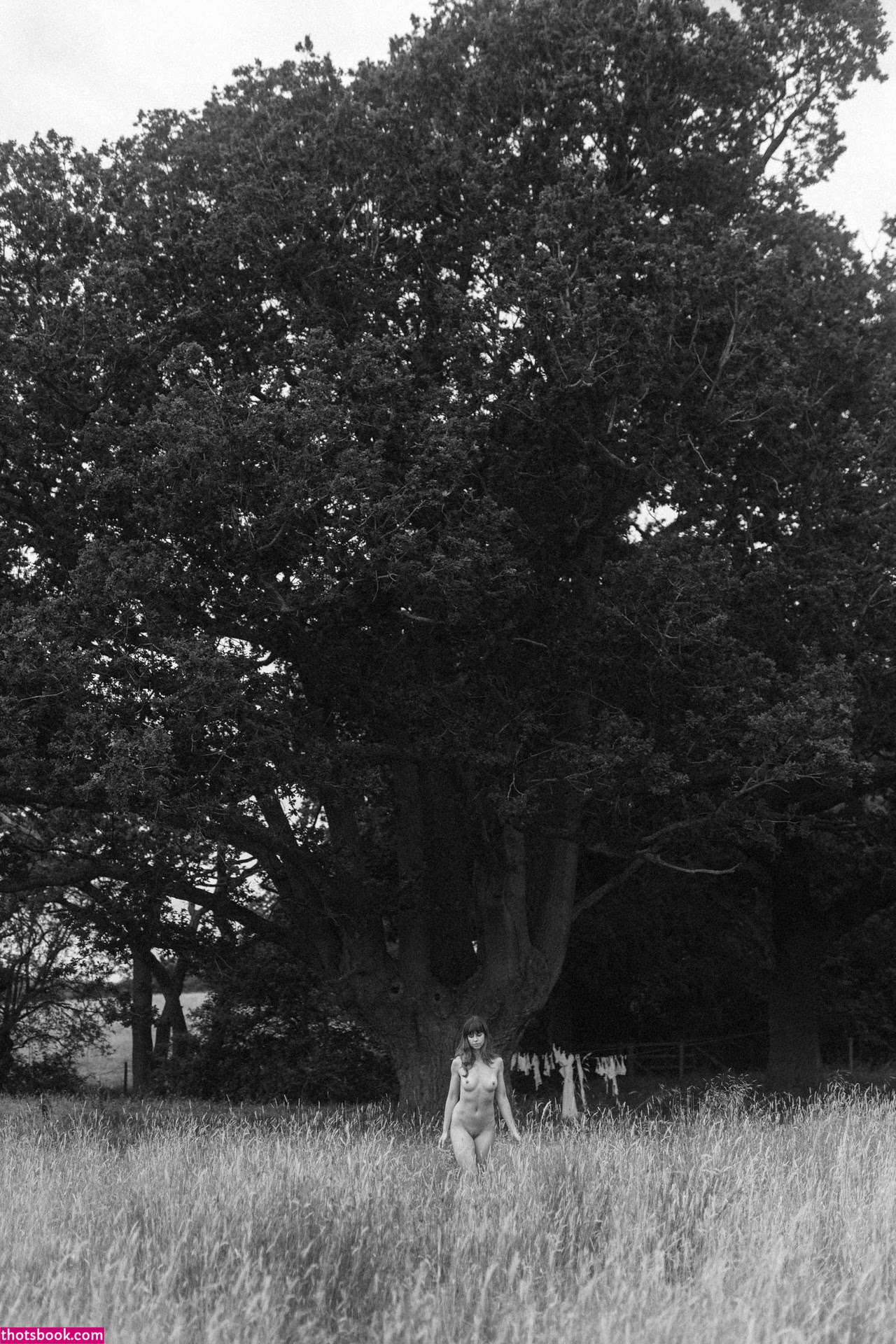 Katharina Chamaleon Photo #3