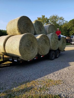 Bigbootygoodness69 Photo #33