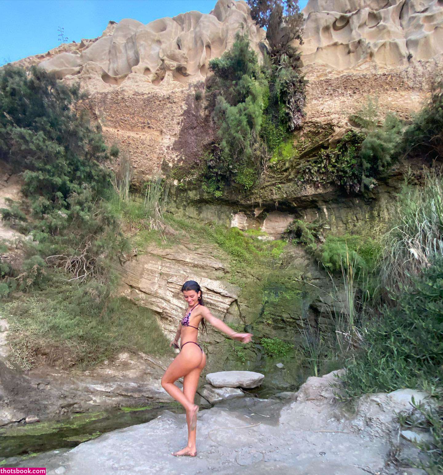 Vendala Enright Photo #30