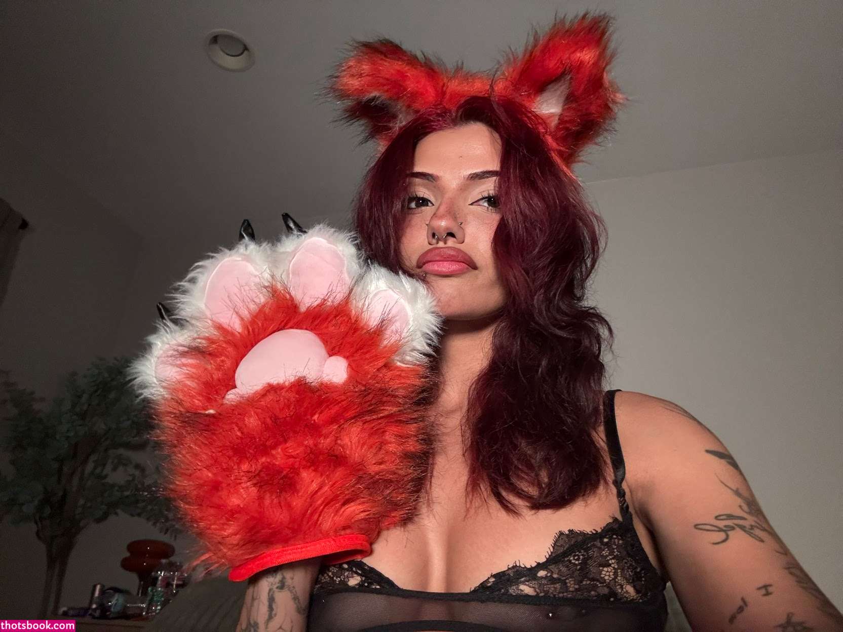 Noordabashh Photo #37