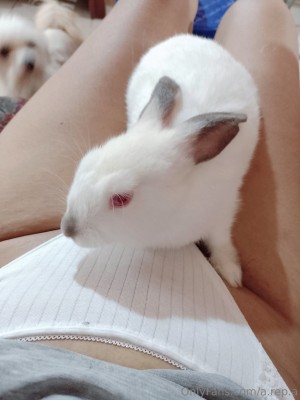 sailorveneka Photo #4