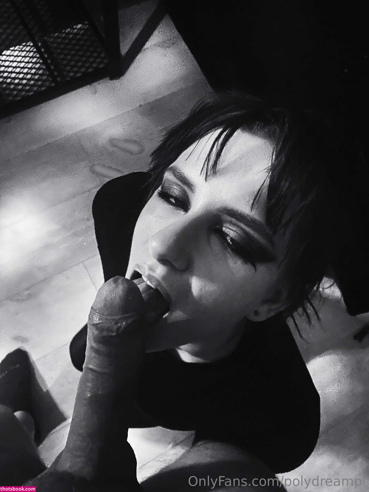 Polydreampl Photo #18