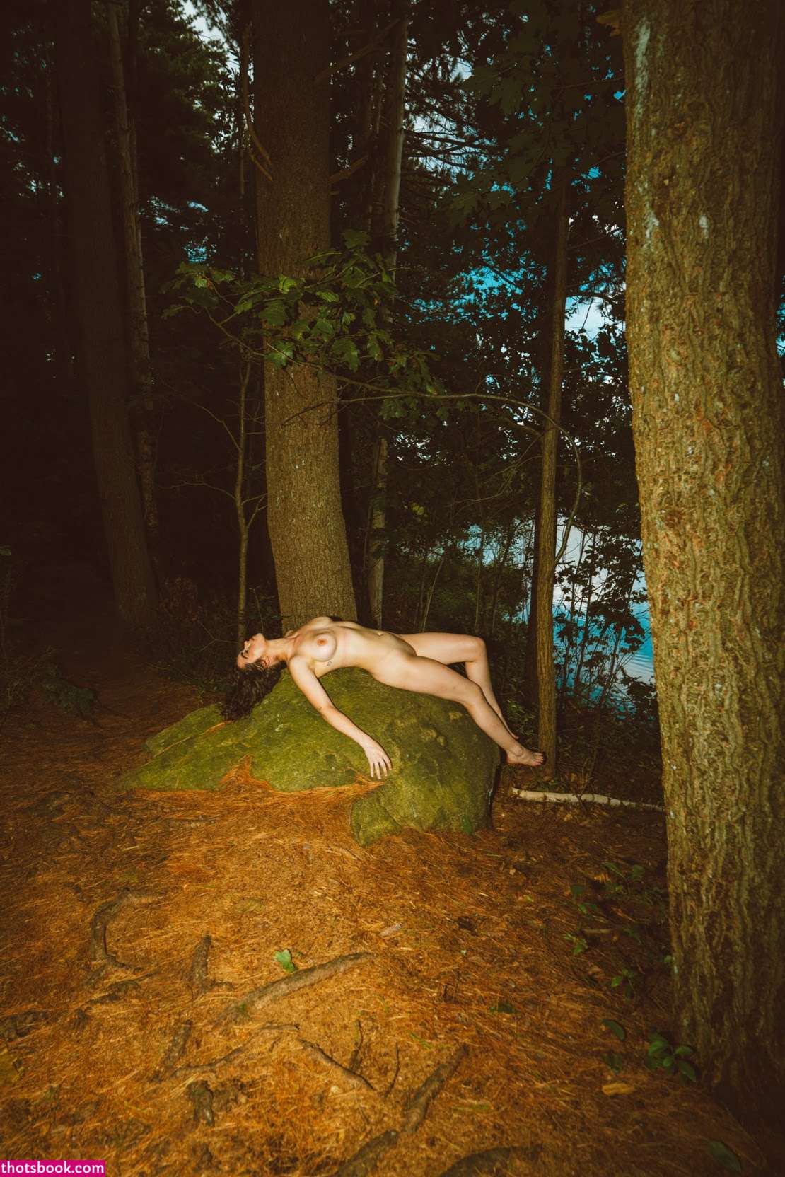 bendynakedhipp Photo #15