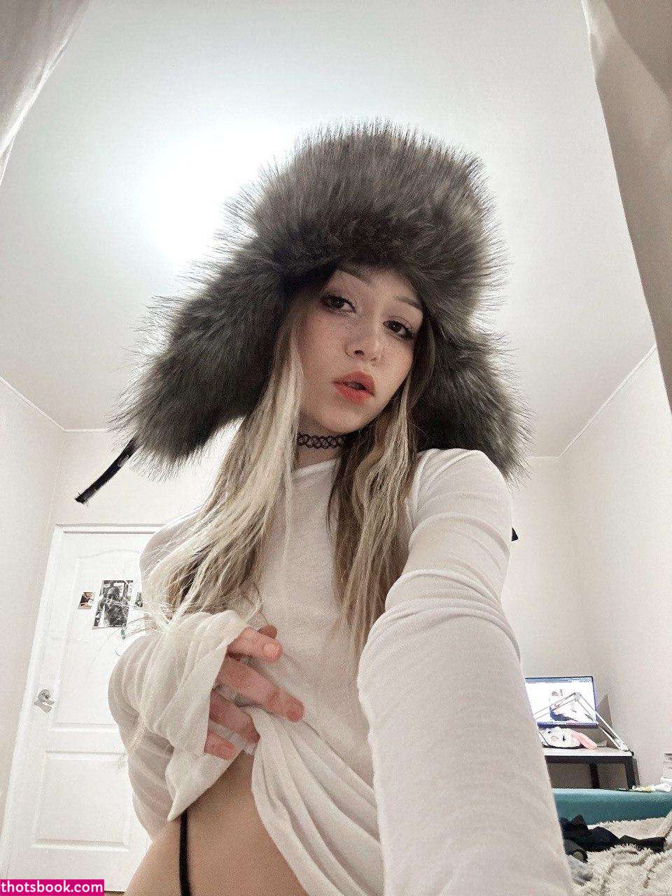 Creator Photo #1923803