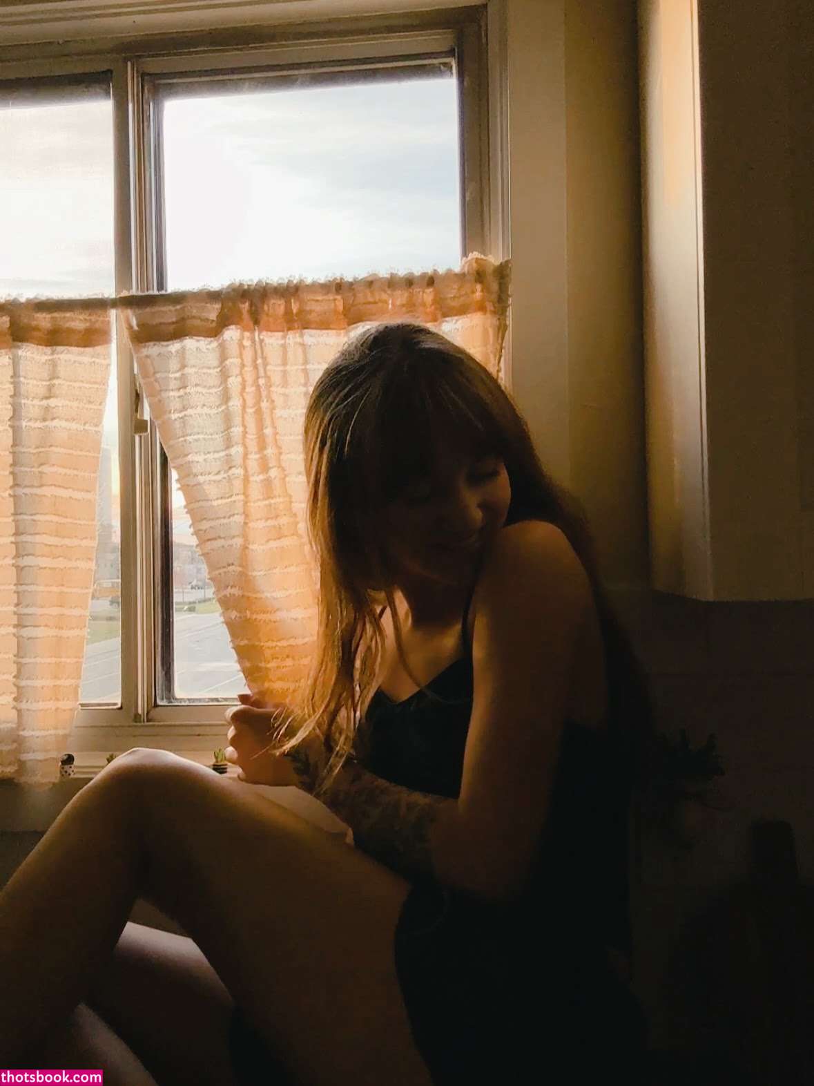 Sarracicero Photo #1