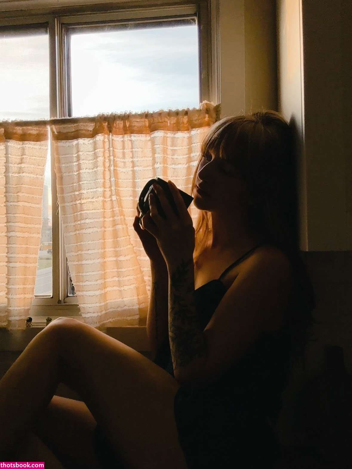 Sarracicero Photo #2