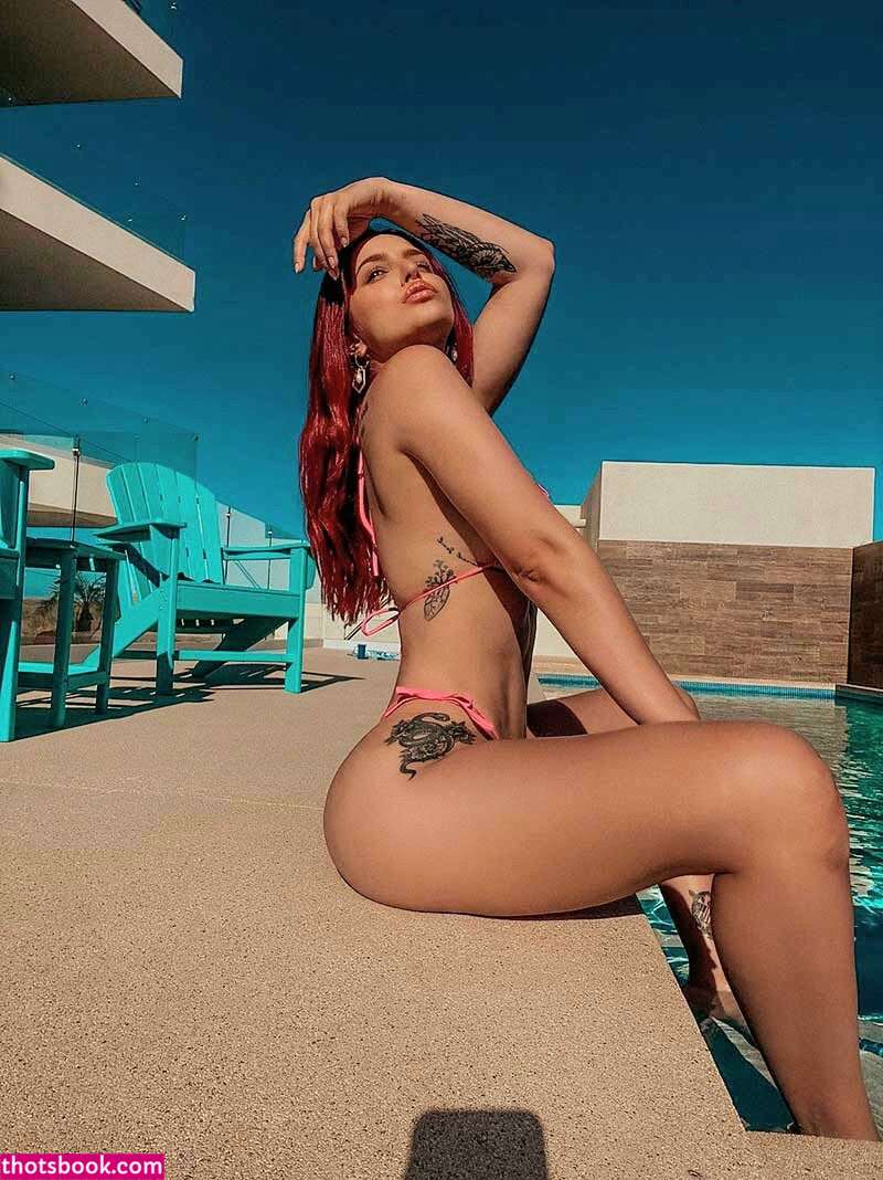 Creator Photo #1931312