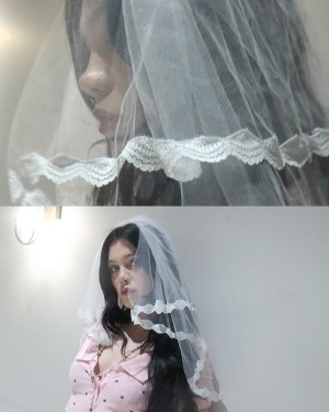 Creator Photo #1939809