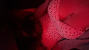 Creator Photo #1941338