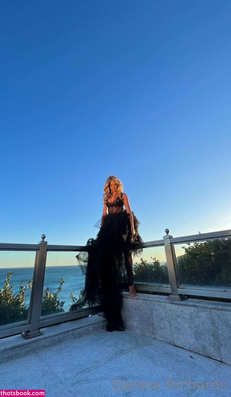 Denise Richards Photo #23