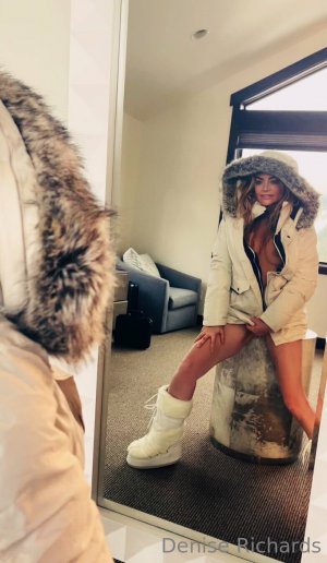 Denise Richards Photo #41