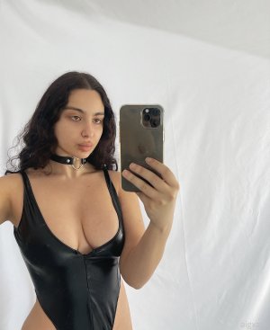 Persiandollgia Photo #167