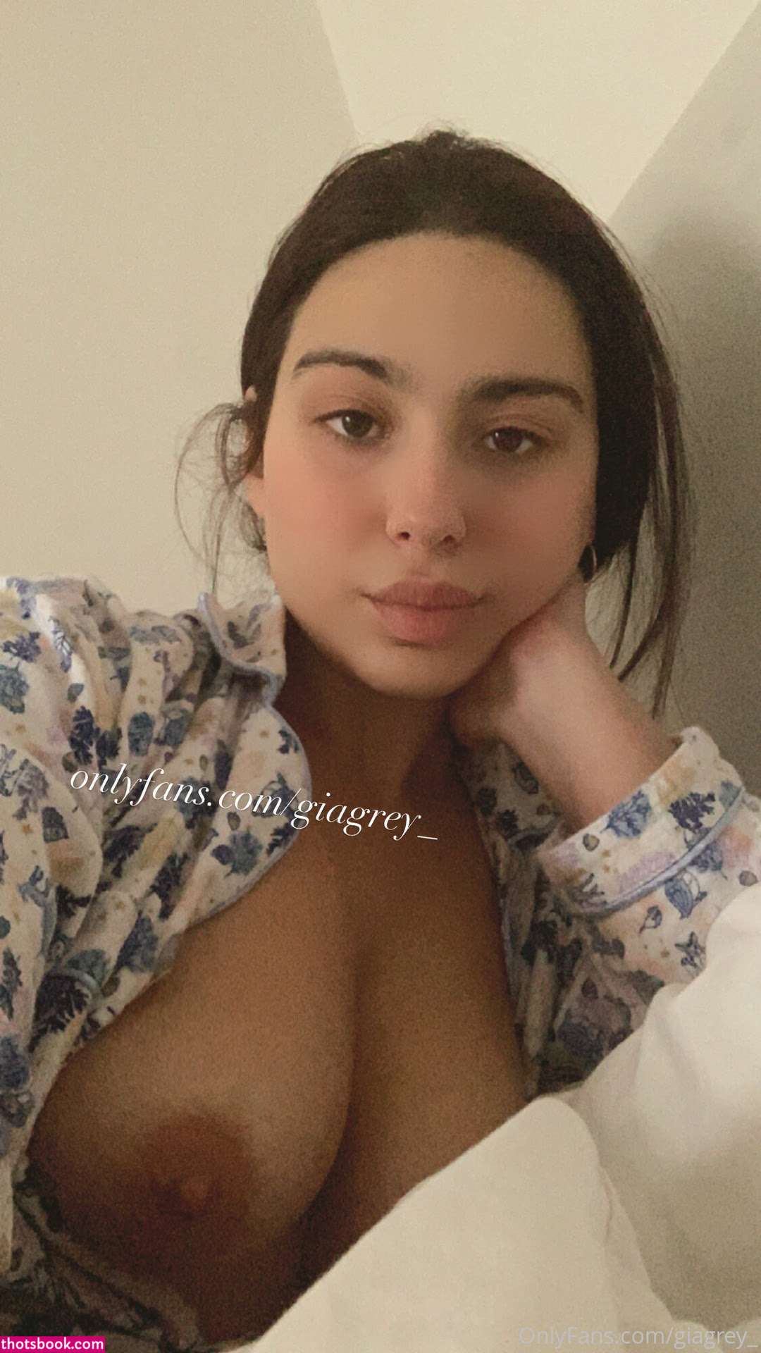 Persiandollgia Photo #232