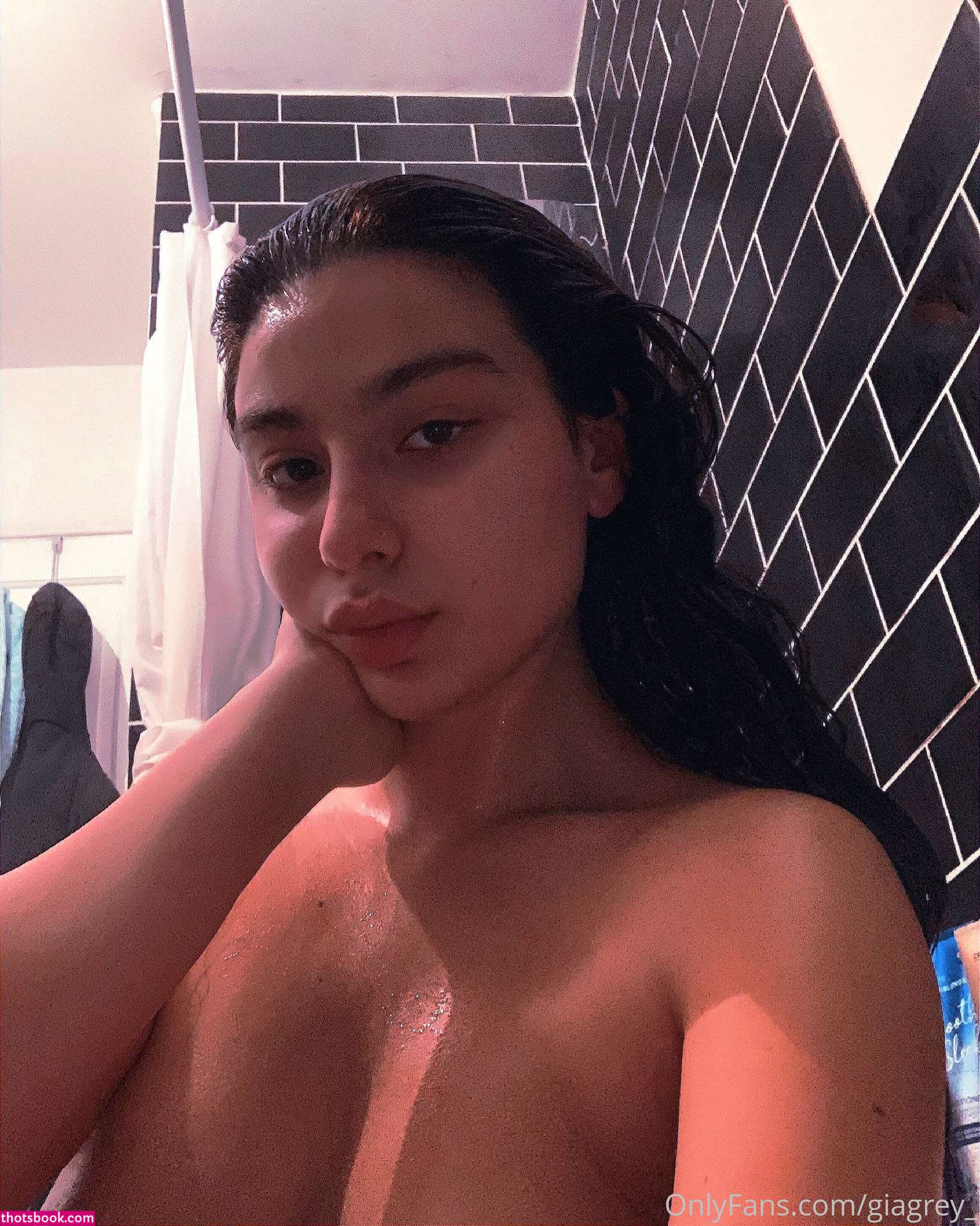 Persiandollgia Photo #298