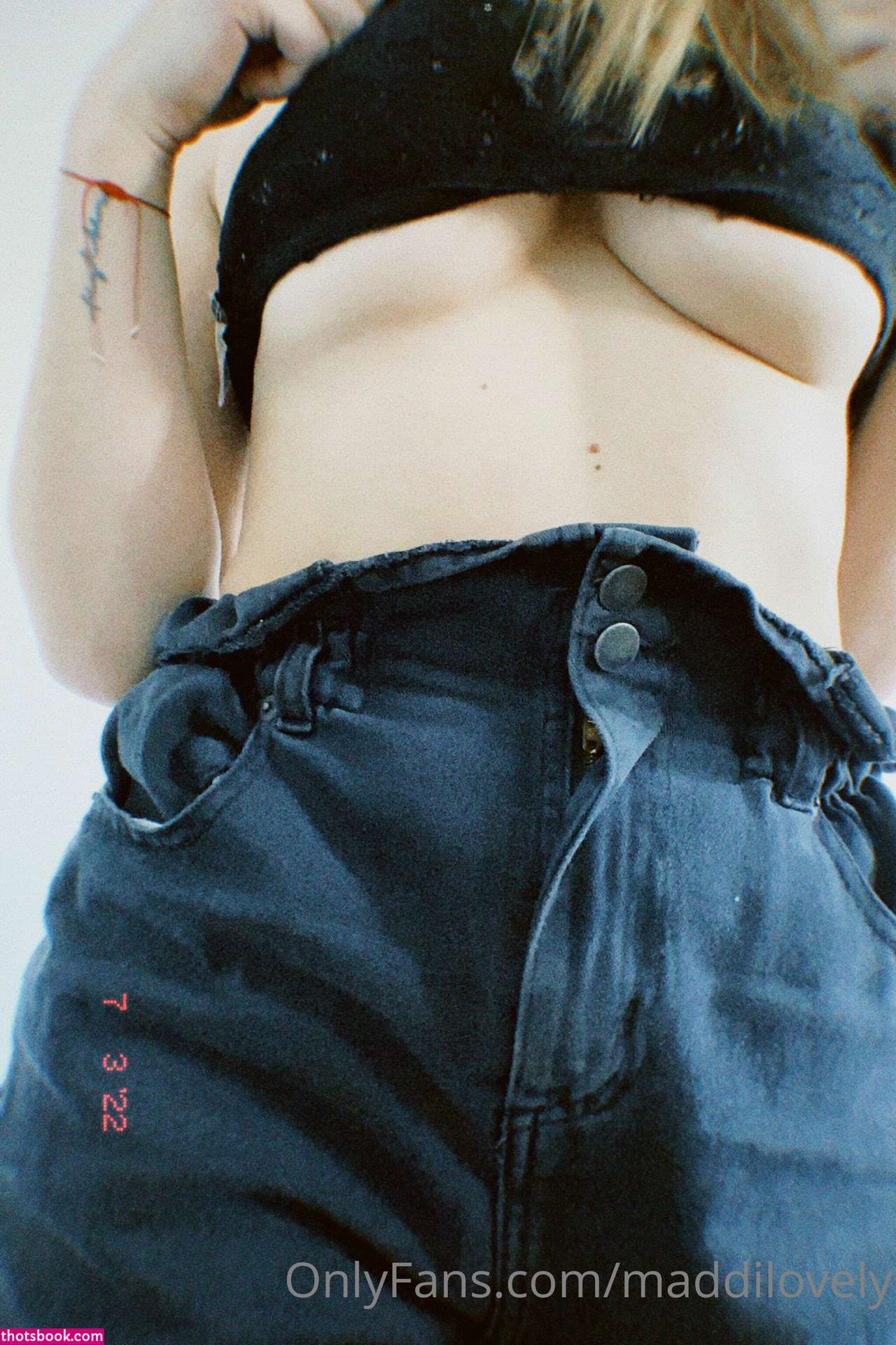 catatorrano Photo #46