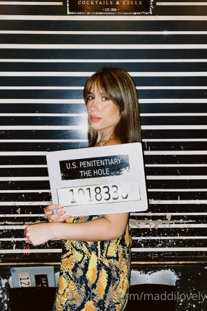 catatorrano Photo #47