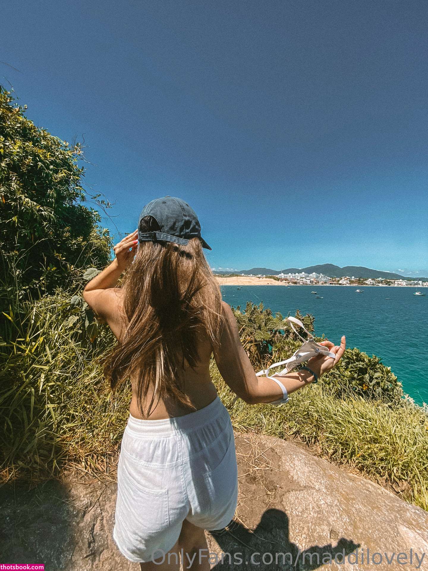 catatorrano Photo #88