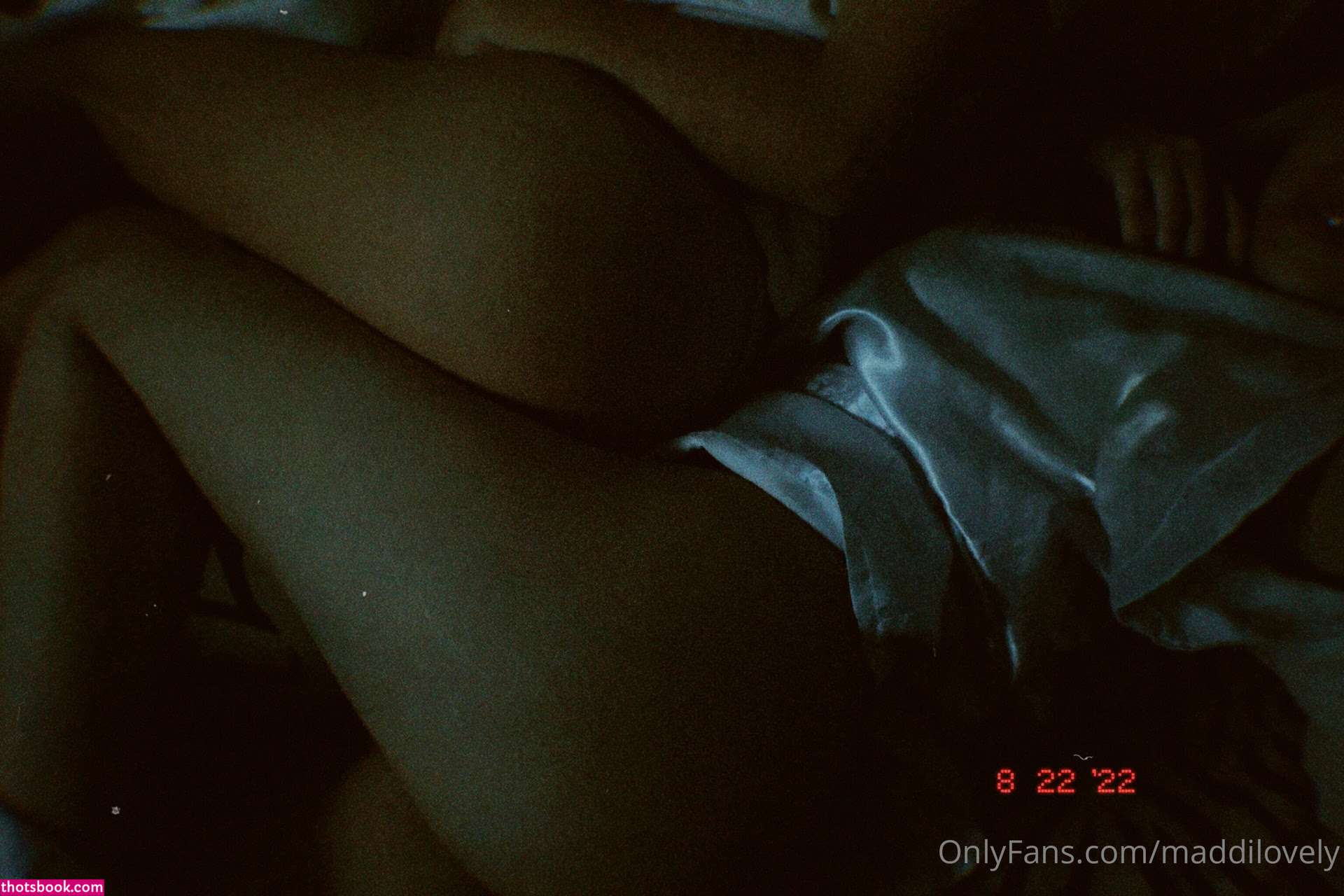 catatorrano Photo #105