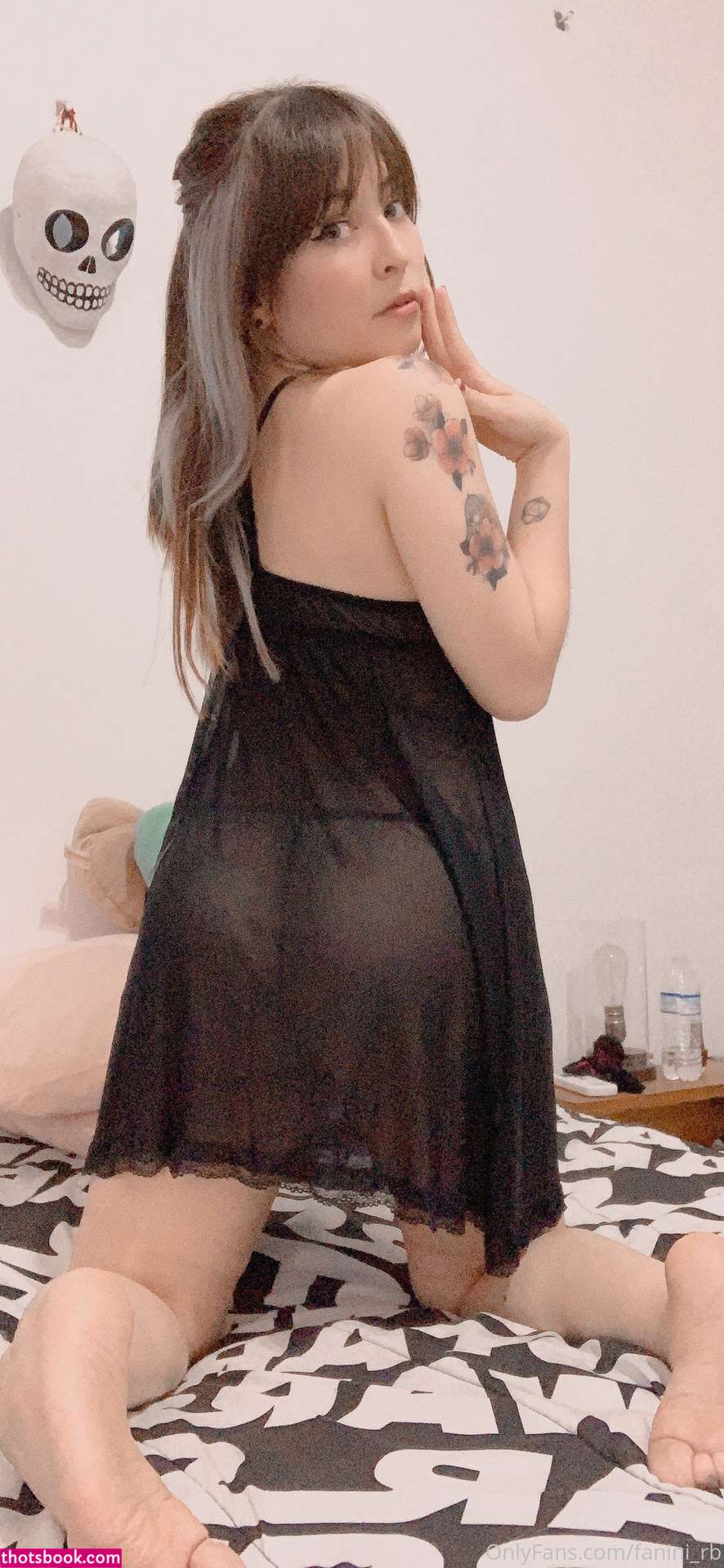 Fanini Rb Photo #107