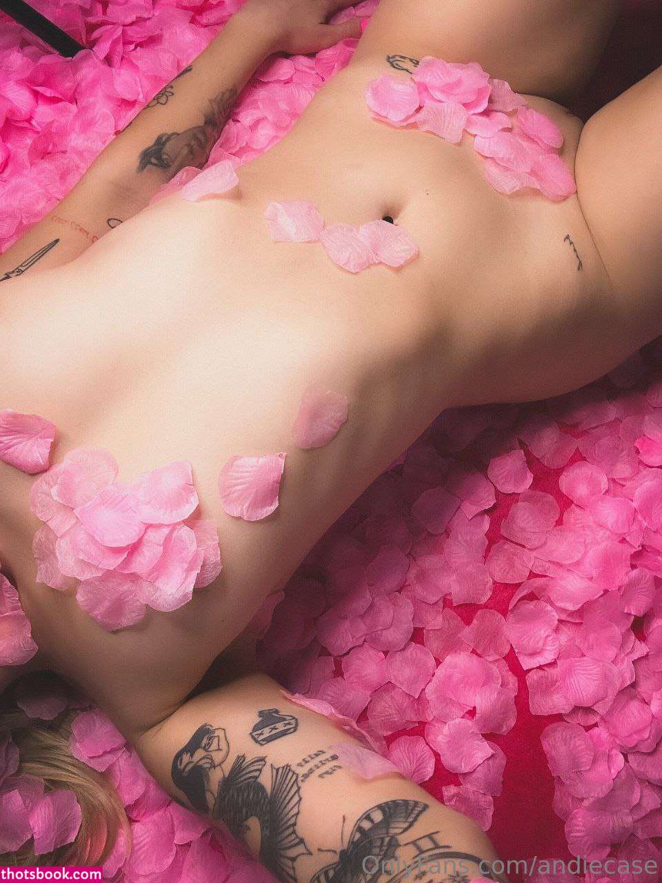 Andie Case Photo #242