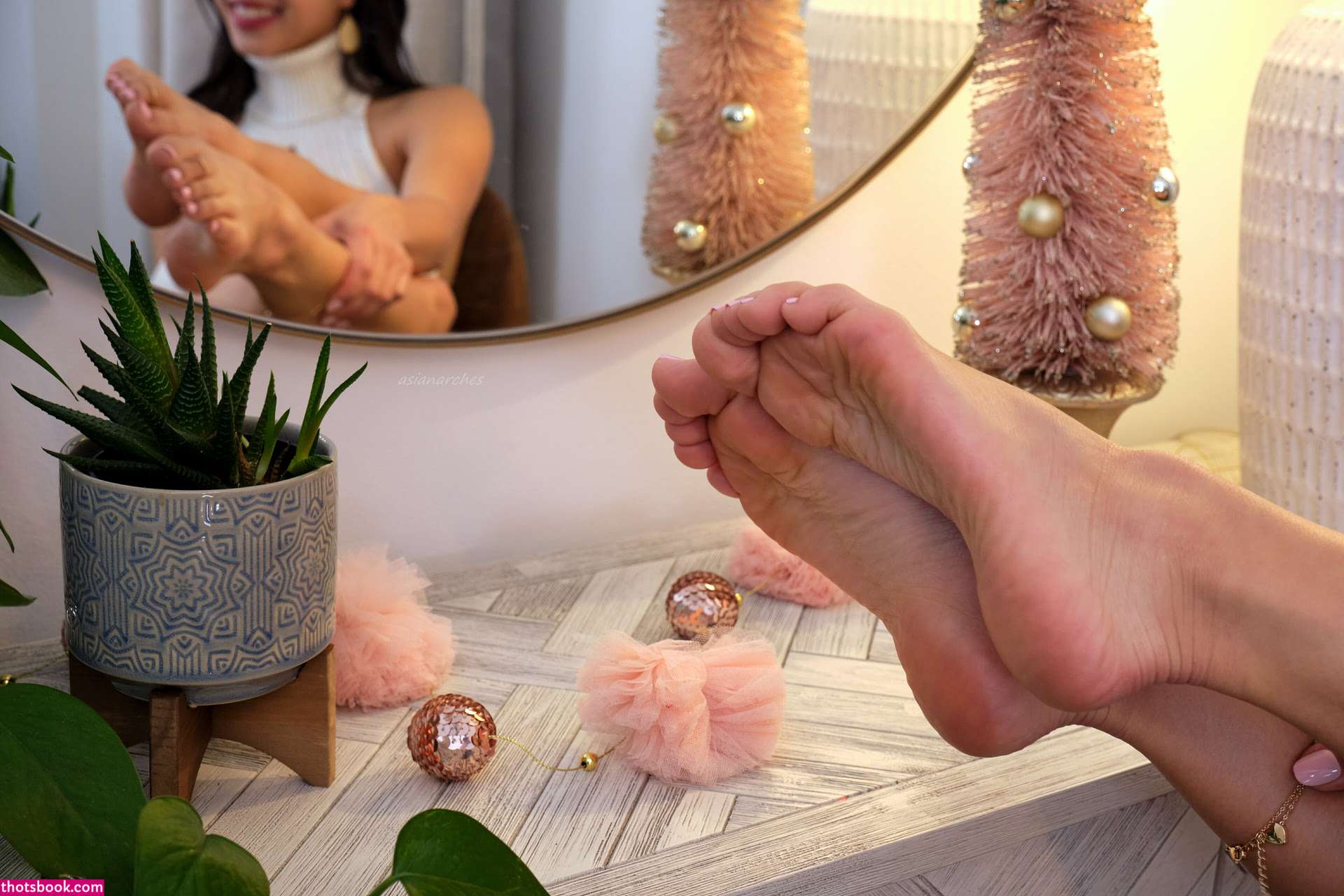 Asianarches Photo #148