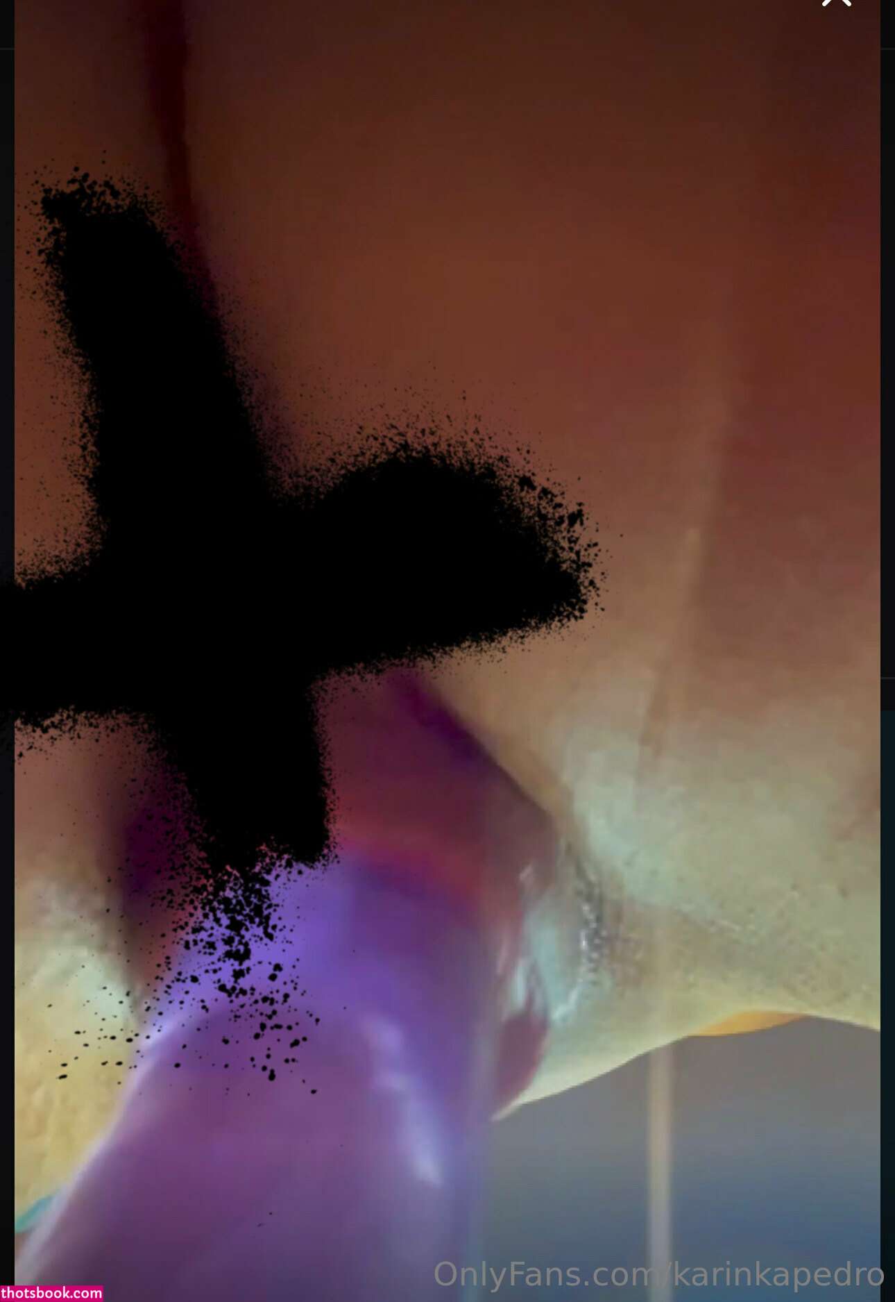 Karinkapedro Photo #179