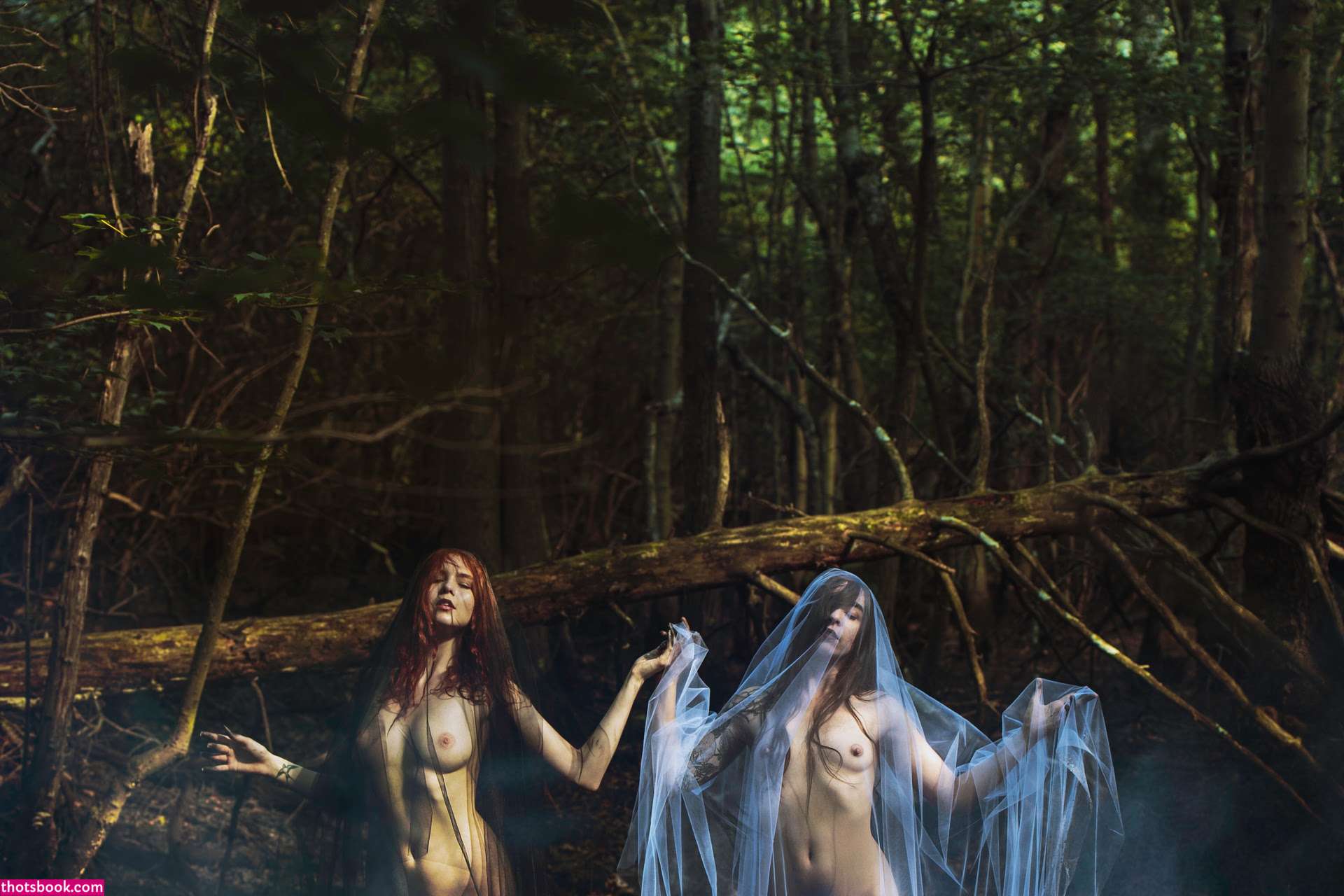 Icelandic Selkie Photo #12