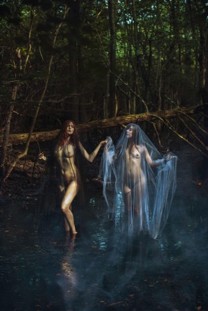 Icelandic Selkie Photo #3