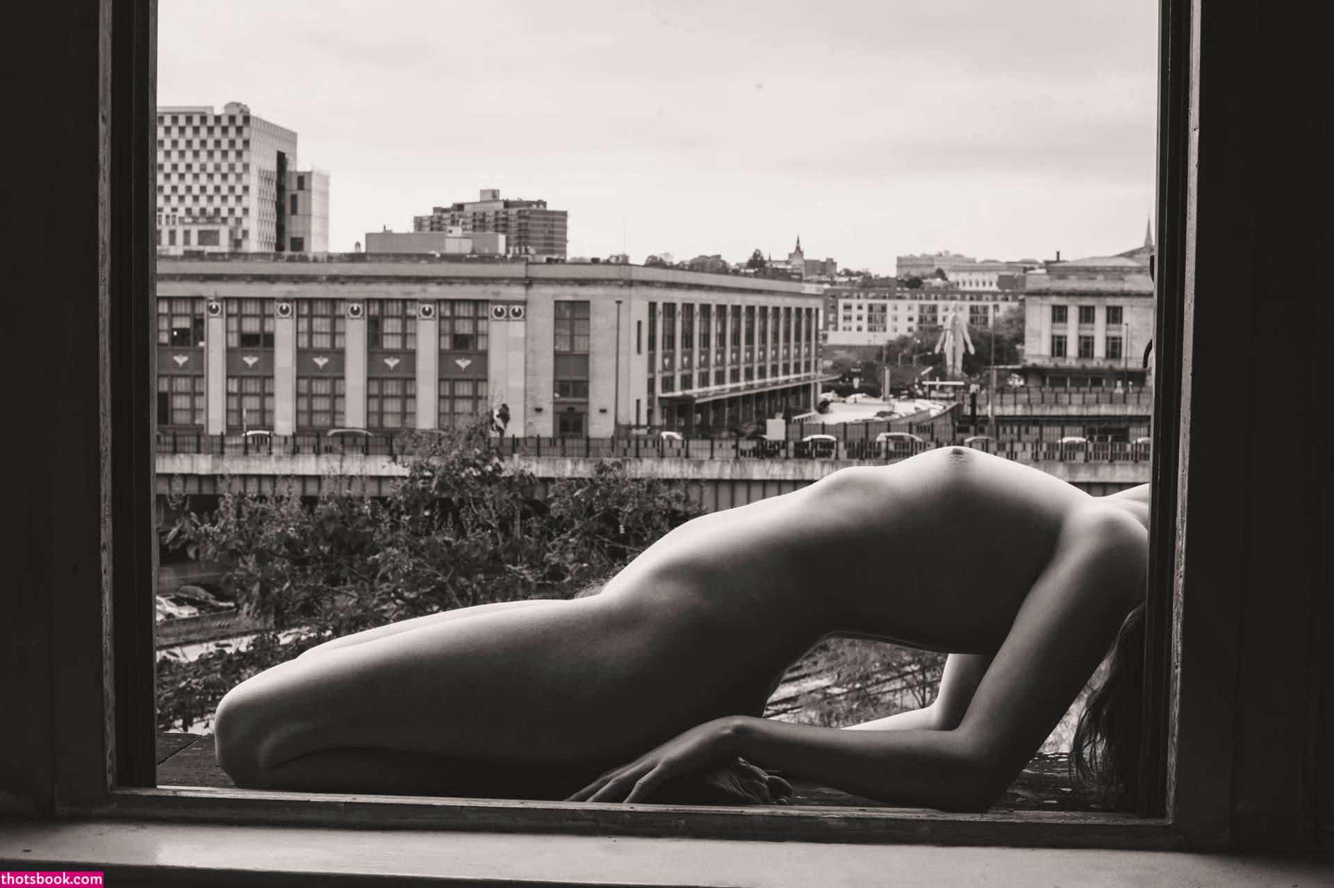 Icelandic Selkie Photo #32