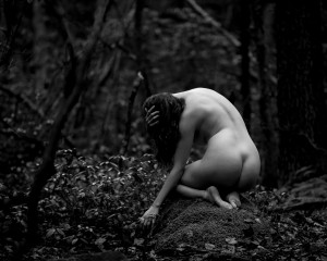 Icelandic Selkie Post #7