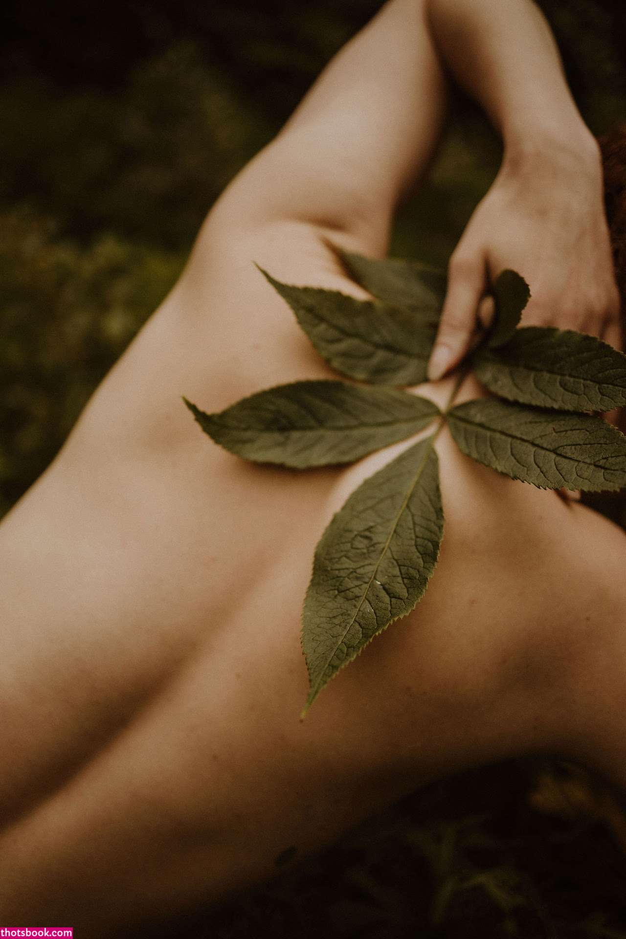 Icelandic Selkie Photo #162