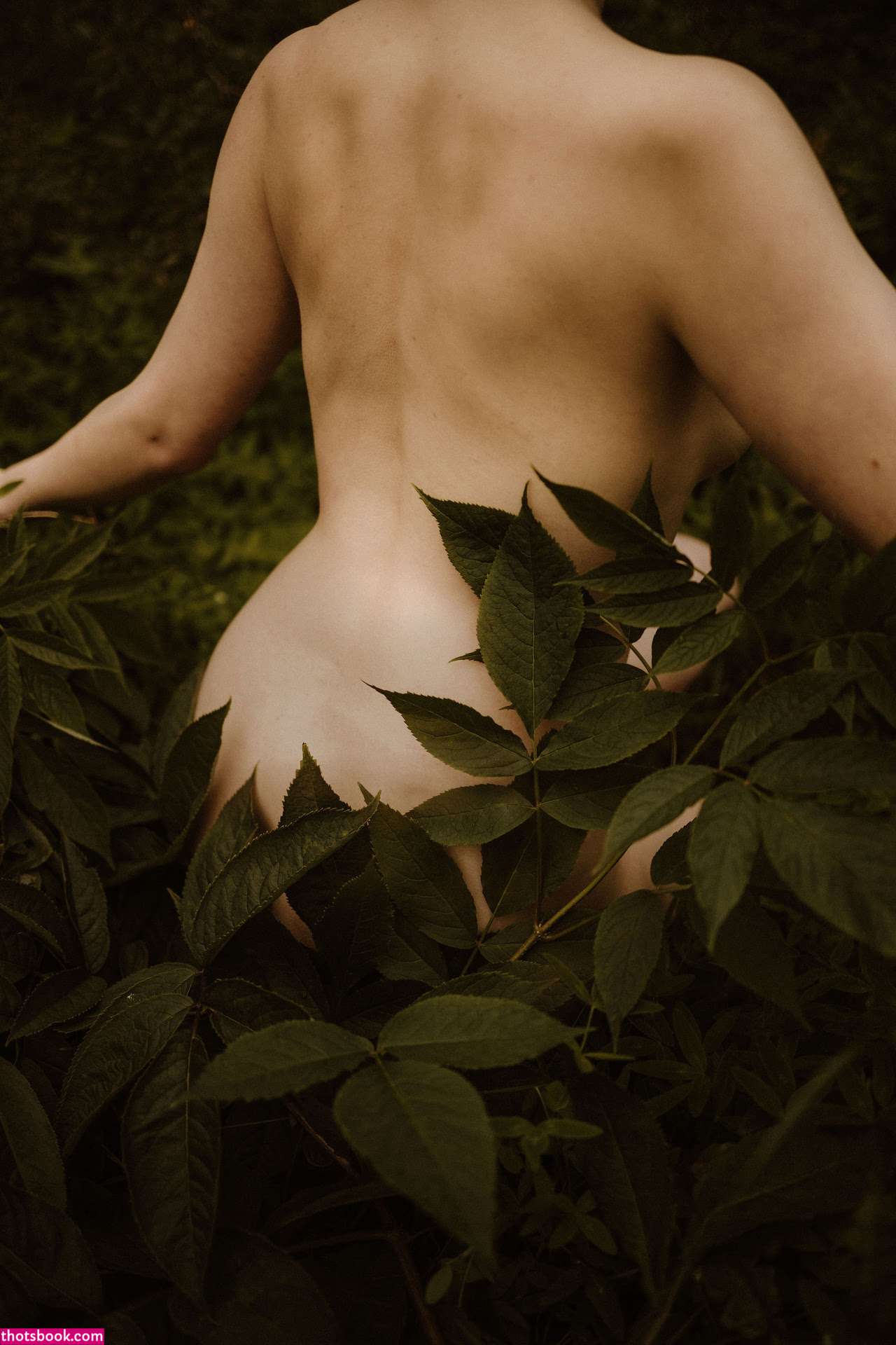 Icelandic Selkie Photo #163