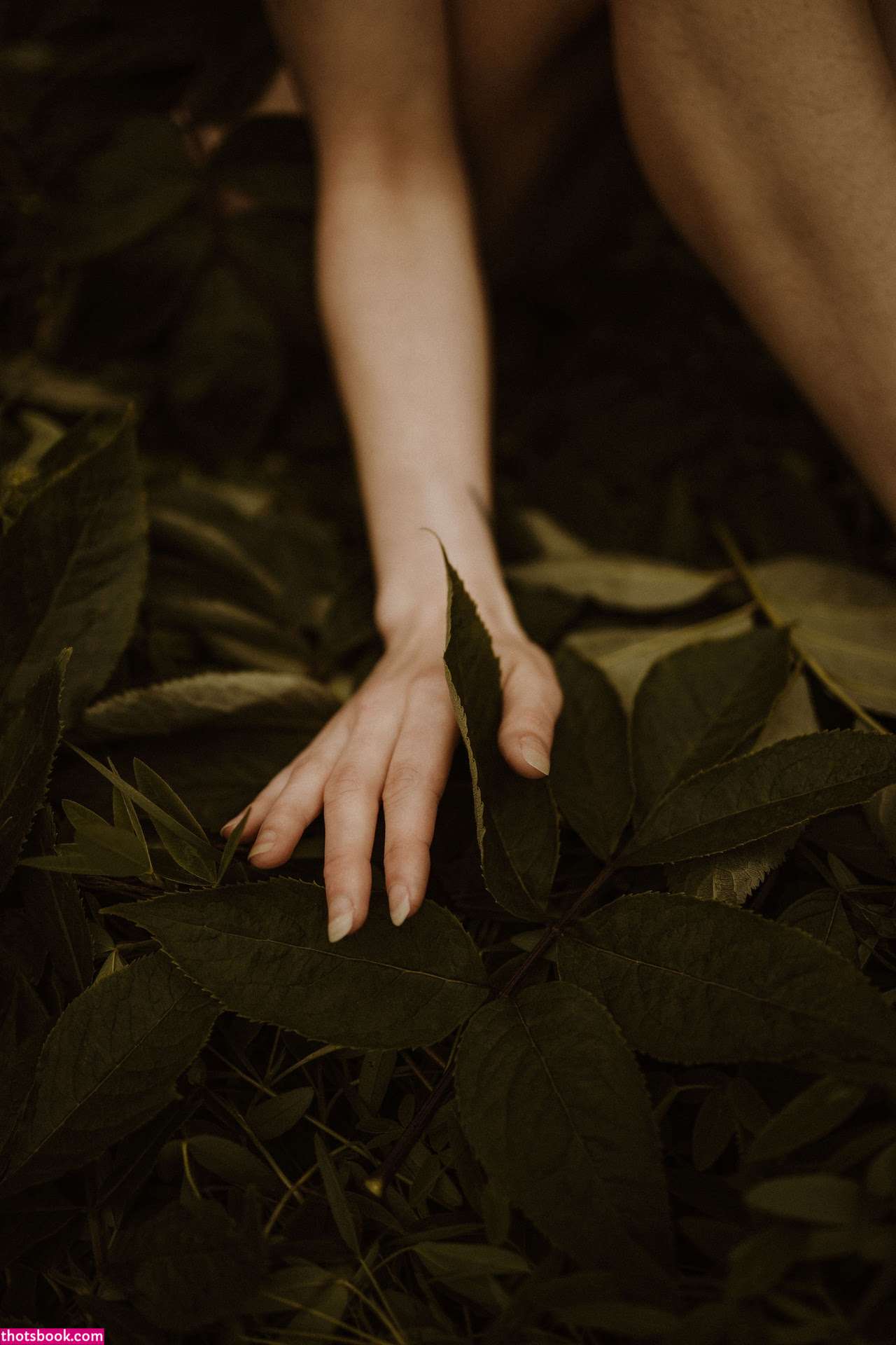 Icelandic Selkie Photo #167