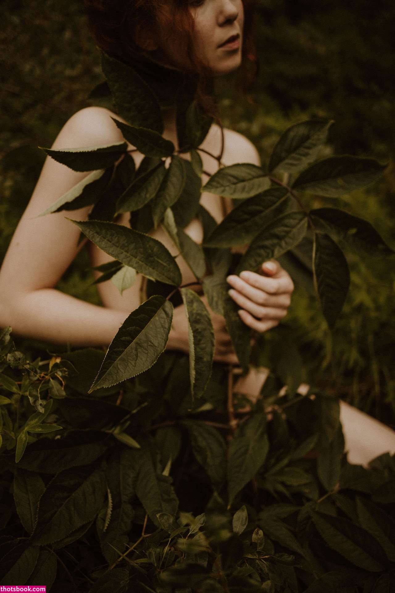 Icelandic Selkie Photo #169