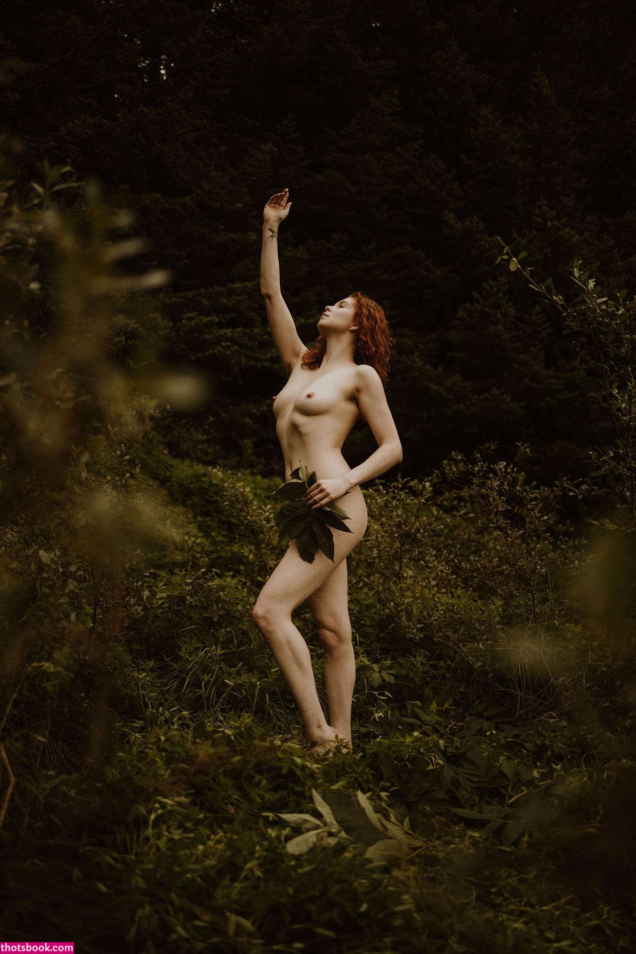 Icelandic Selkie Photo #172