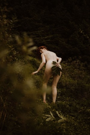 Icelandic Selkie Photo #154