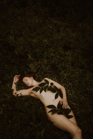 Icelandic Selkie Photo #156