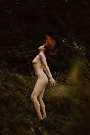 Icelandic Selkie Photo #166