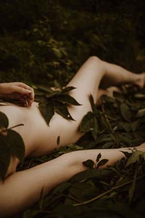 Icelandic Selkie Photo #168