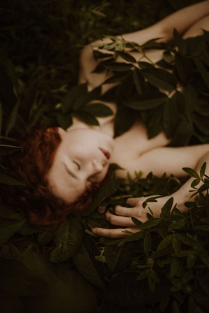 Icelandic Selkie Photo #177