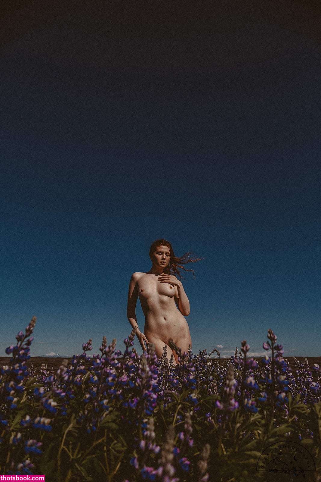 Icelandic Selkie Photo #217