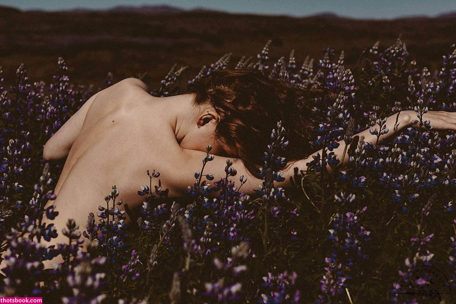 Icelandic Selkie Photo #218