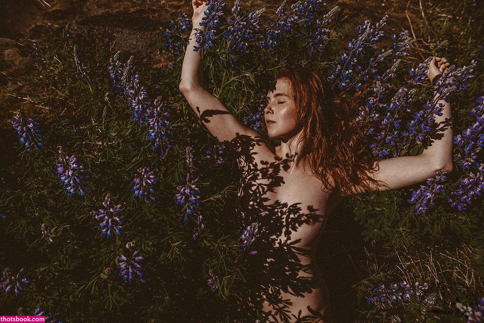 Icelandic Selkie Photo #221