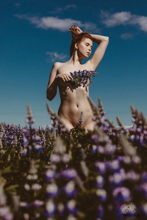 Icelandic Selkie Photo #206