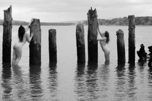 Icelandic Selkie Photo #249