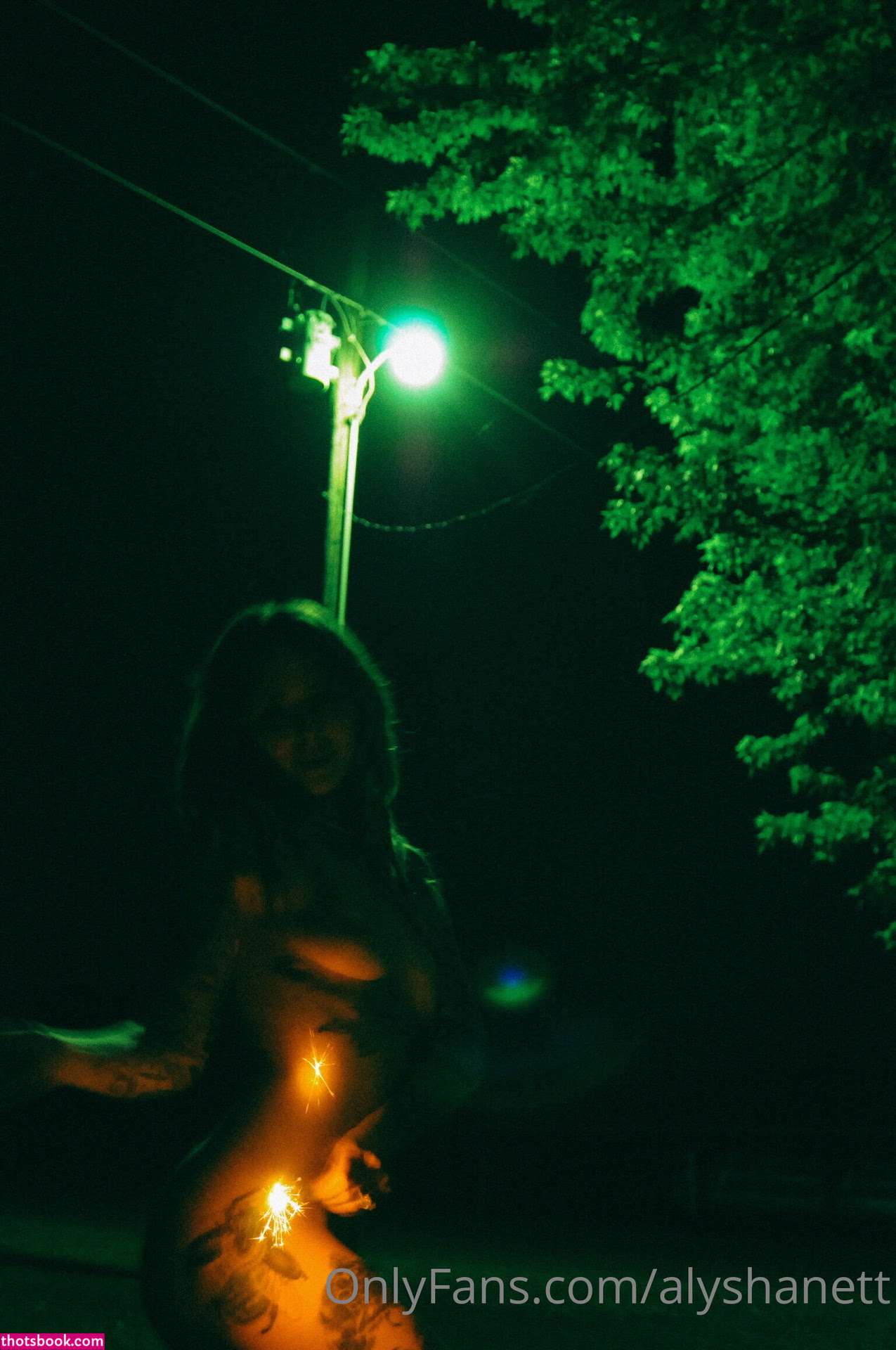 Alysha Nett Photo #34