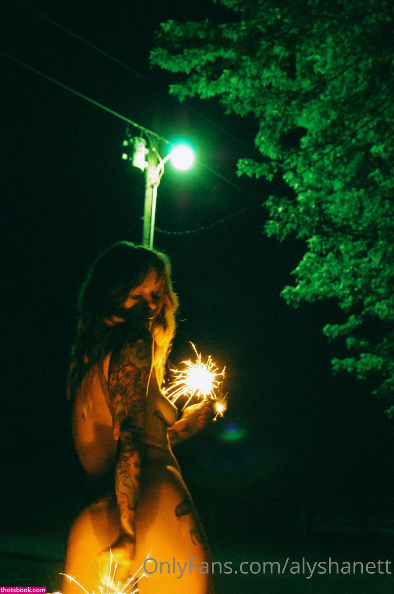 Alysha Nett Photo #42