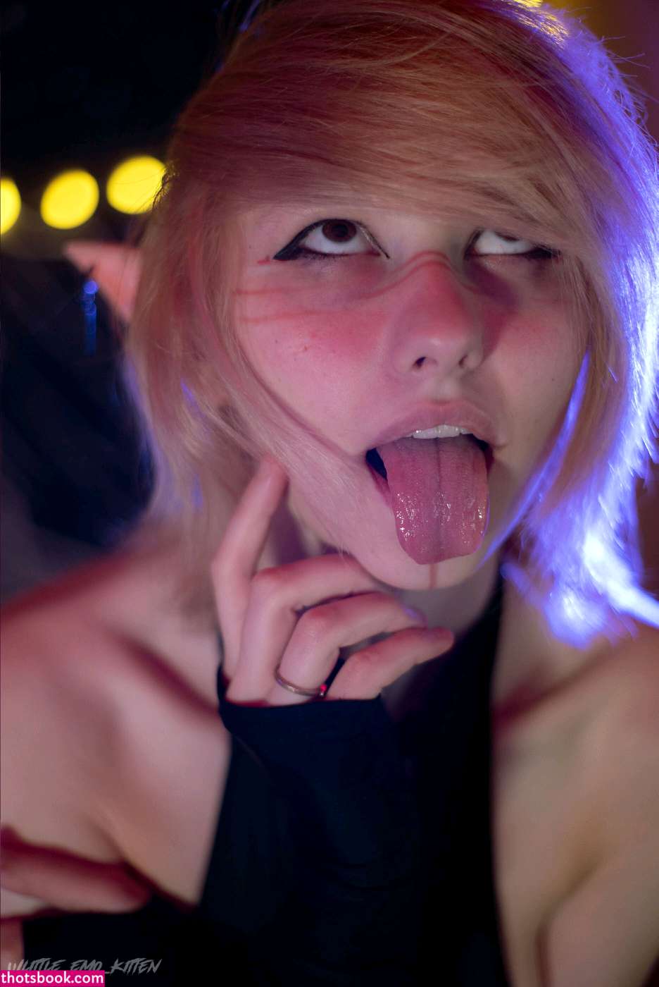 Little Emo Kitten Photo #129