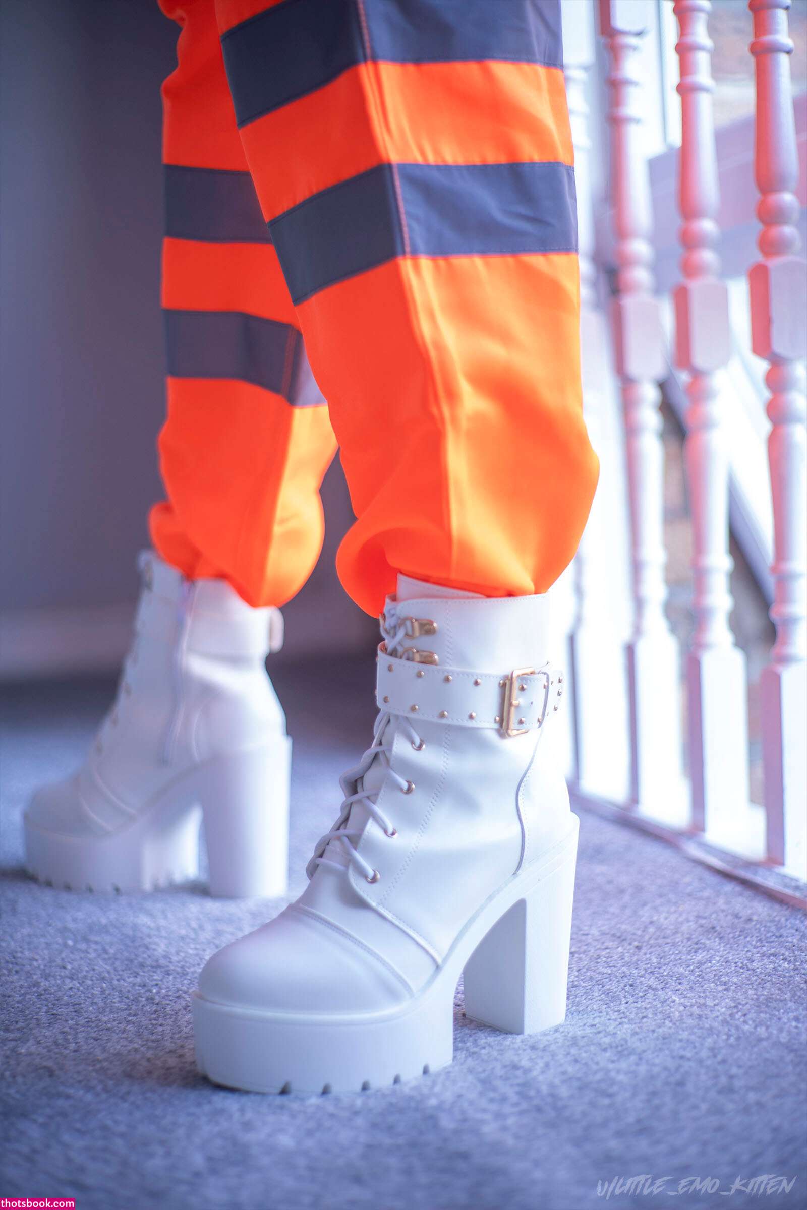 Little Emo Kitten Photo #223